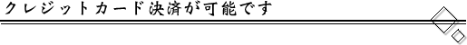 クレジットカード決済が可能です